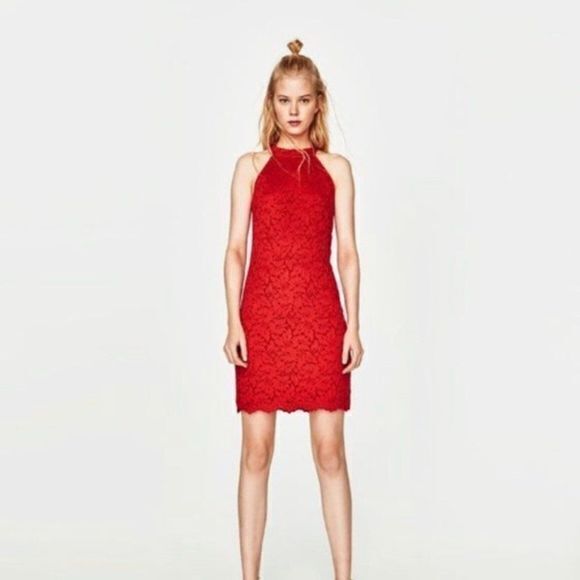 ZARA Trafaluc High Neck Halter Lace Bodycon Dress‎ - Picture 1 of 6
